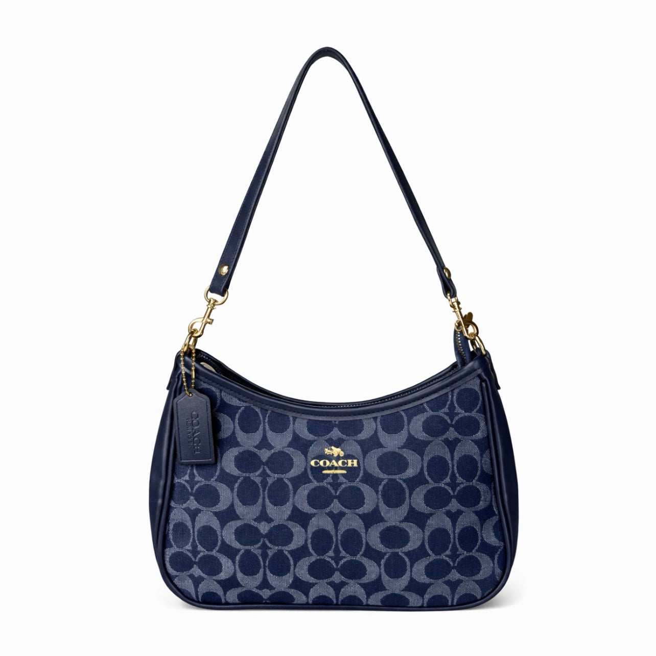 Coach Teri Hobo Bag In Signature Canvas